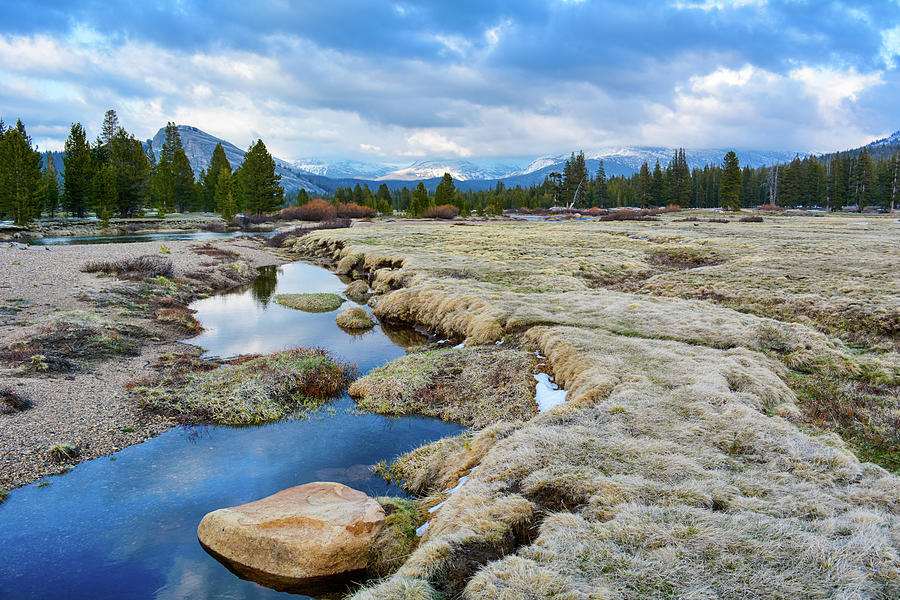 Tuolumne Meadows Stream Yosemite Photograph by Kyle Hanson