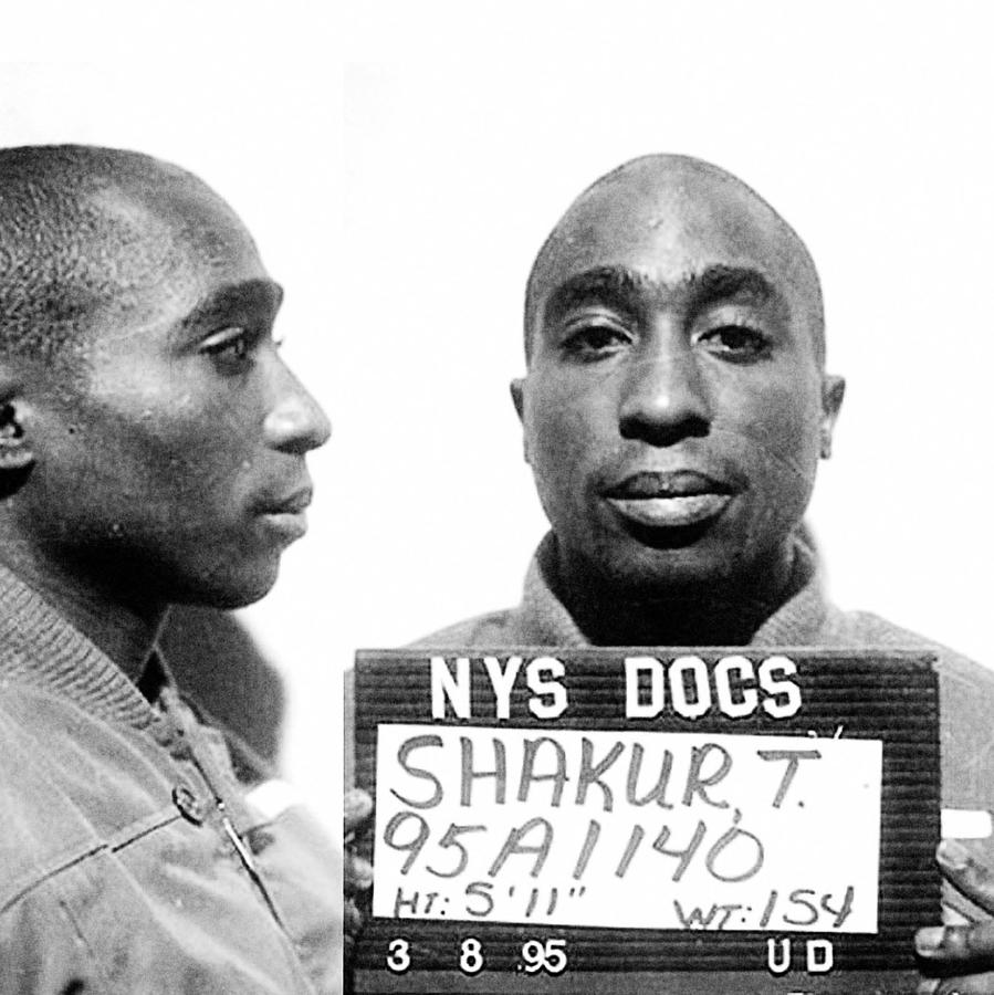 Tupac Shakur Mug Shot Mugshot Painting by Tony Rubino