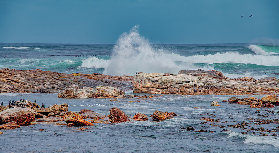 Turbulent Coast on the Cape of Good Hope Photograph by Marcy Wielfaert