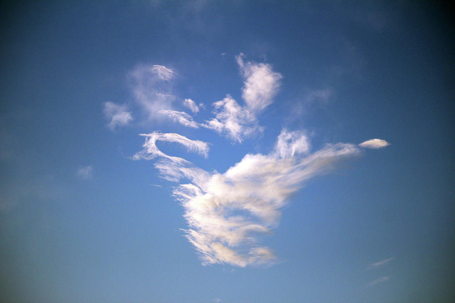 Turkey Cloud Photograph by Cynthia Guinn