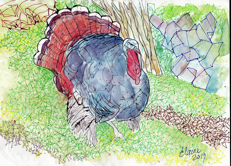 Turkey Painting by Elaine Berger