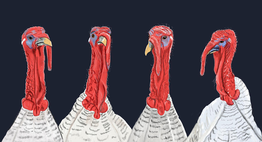 Turkey Gang Mixed Media by Judy Cuddehe
