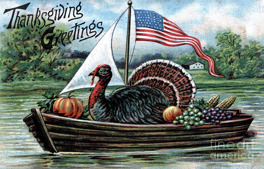 Turkey in a boat Digital Art by Pete Klinger