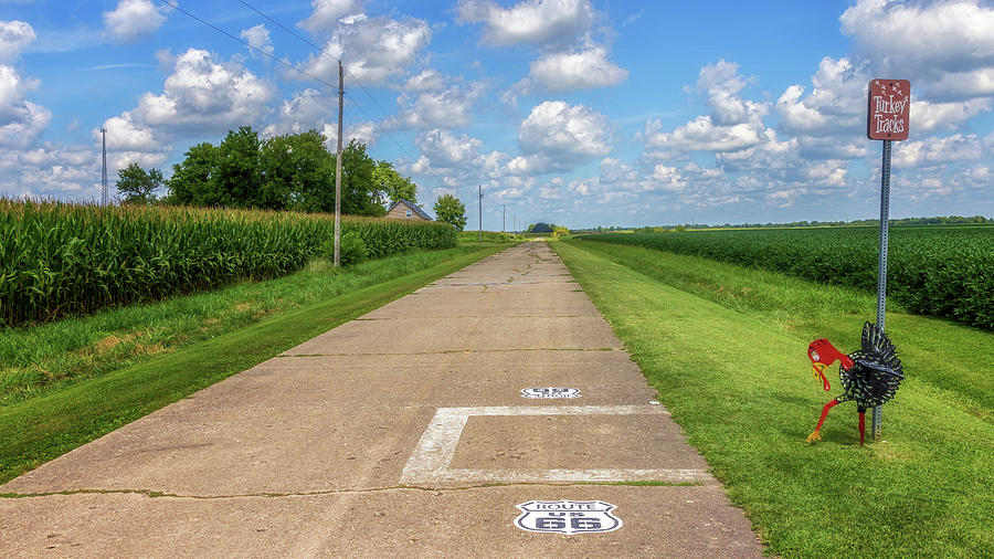 Turkey Tracks on Route 66 - Nilwood, Illinois Photograph by Susan Rissi Tregoning