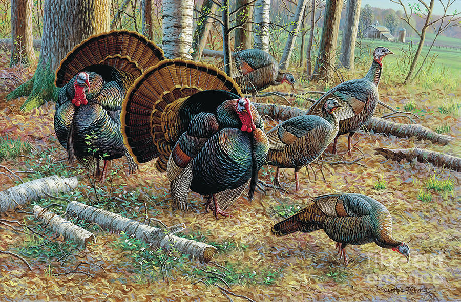 Turkeys Painting by Cynthie Fisher