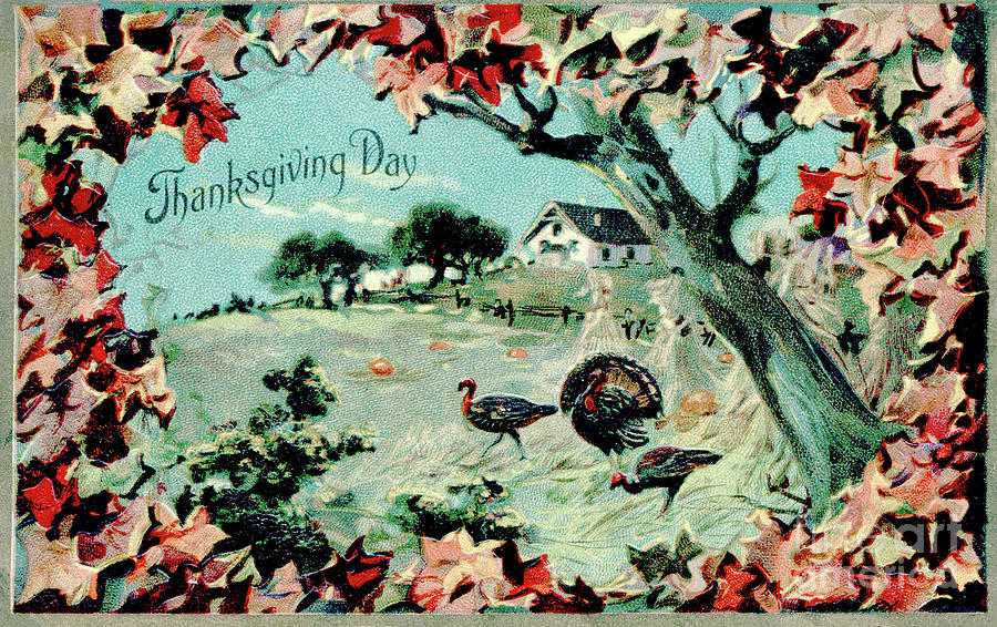Turkeys in a field, surrounded by Autumn leaves Digital Art by Pete Klinger