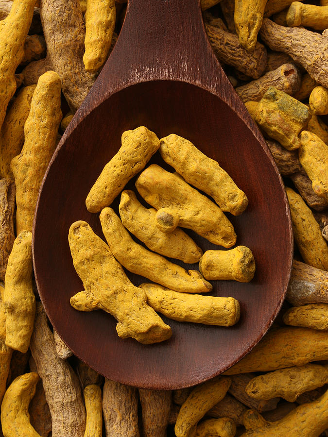 Turmeric root Photograph by FotografiaBasica