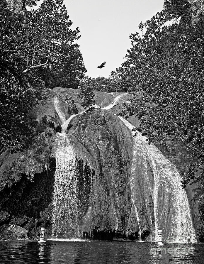 Vulture Photograph - Turner Falls In Black and White by Imagery by Charly