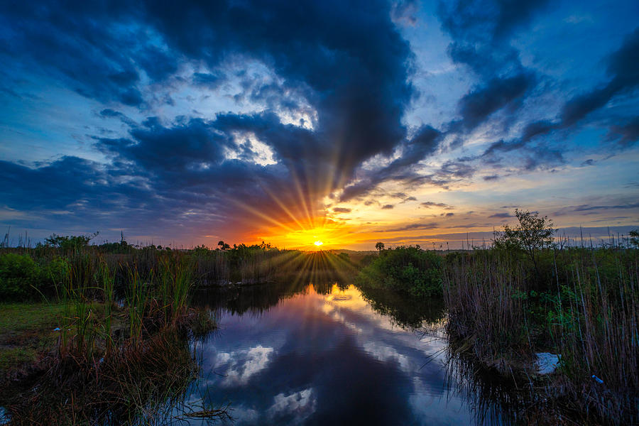 Turner River Road sunrise 2021 Photograph by Joey Waves Pixels