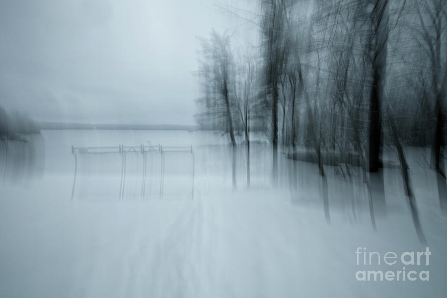 Tree Photograph - Turning Back by Renata Natale