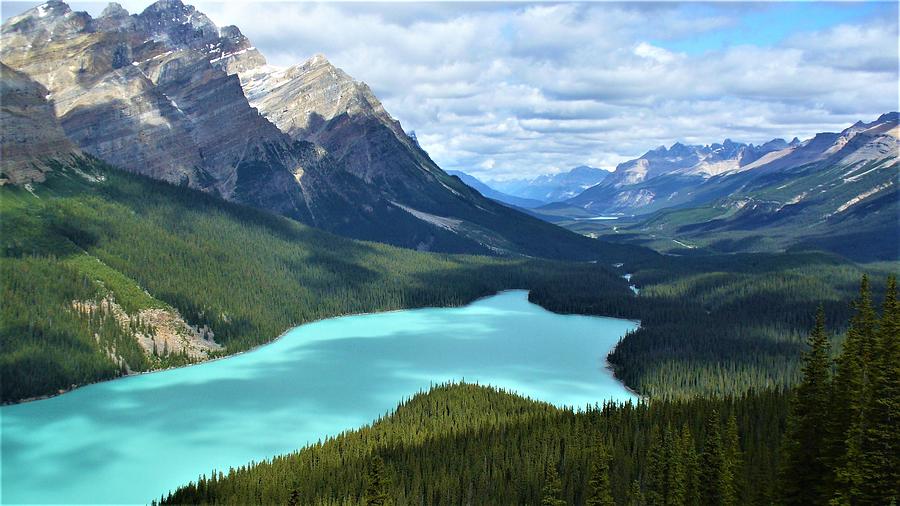 Turquoise Peyto Lake Photograph by Kathrin Poersch