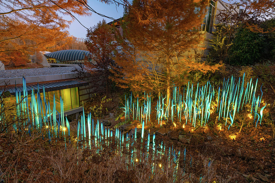 Turquoise Reeds And Crystal Bridges Autumn Landscape Photograph