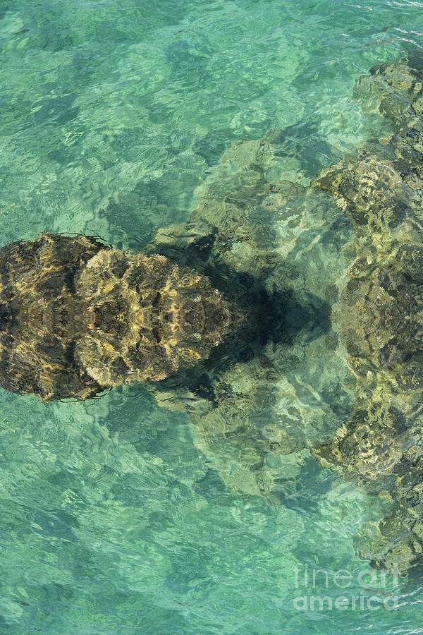 Turquoise sea water and rocks Digital Art by Adriana Mueller