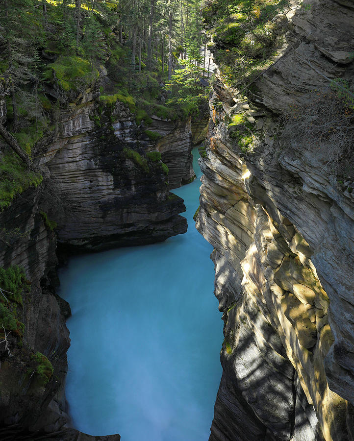 Turquoise Sunwapta River Photograph by Dan Sproul