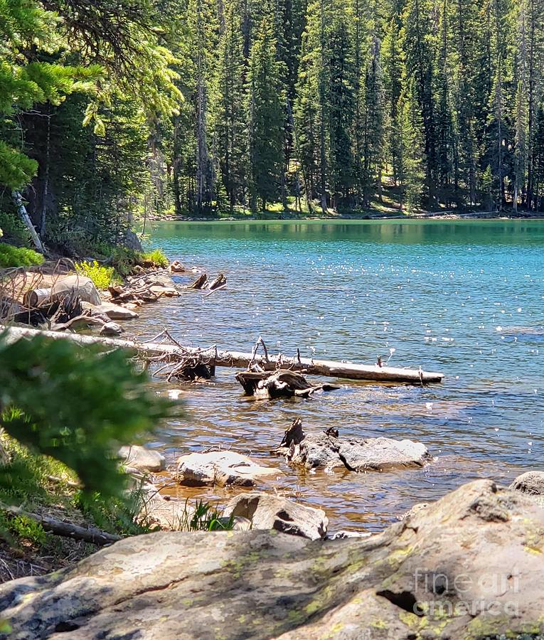 Turquoise Waters Photograph by Alma Stoner - Fine Art America