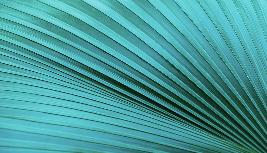 Abstract Photograph - Turquoise by Wim Lanclus