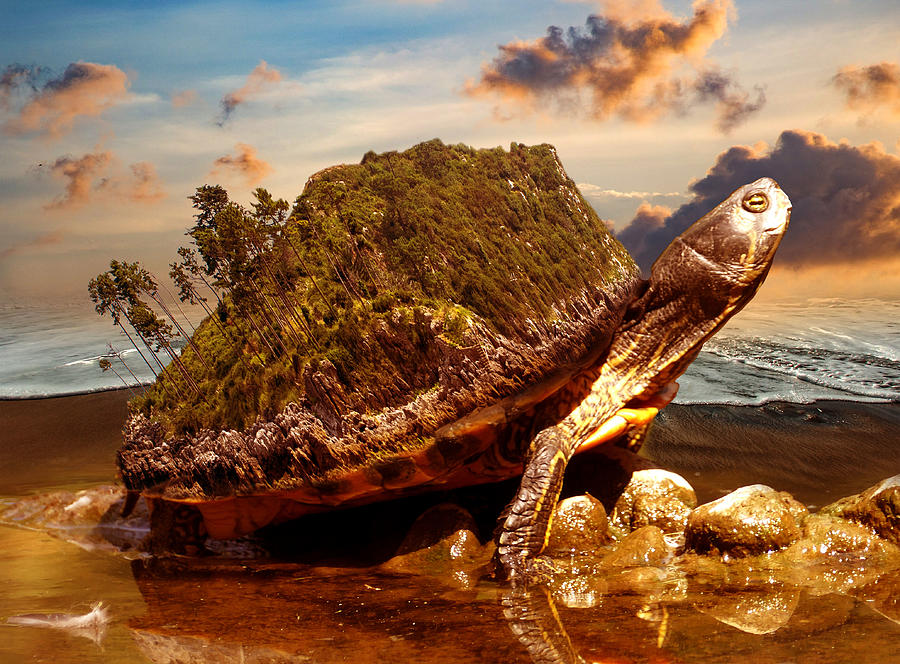 Turtle By The Beach Surrealism Digital Art