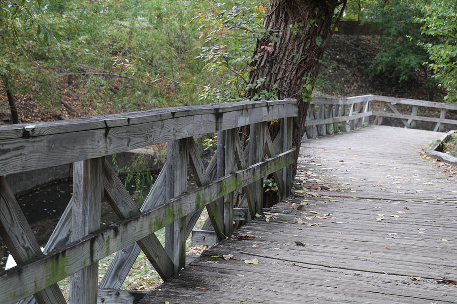 Turtle Creek Dallas Wooden Bridge Photograph by Sandra Kent - Pixels