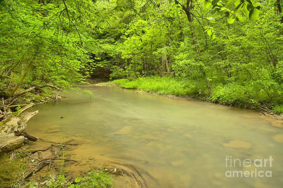 Turtle Creek In The Duff Park Forest Photograph by Adam Jewell