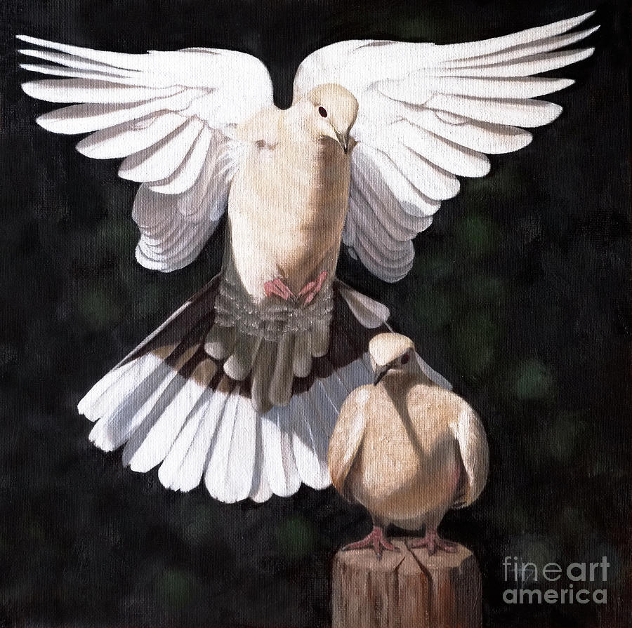 Turtle Doves Painting by Heather Strazza - Fine Art America