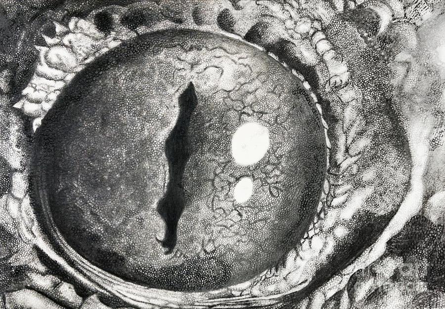 Turtle Eye Drawing by Jyght Fine Art America