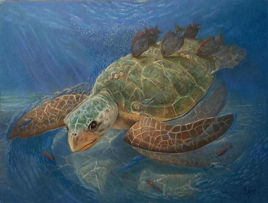 Sea Turtle Drawing - Turtle In Motion by Jorge Cardenas