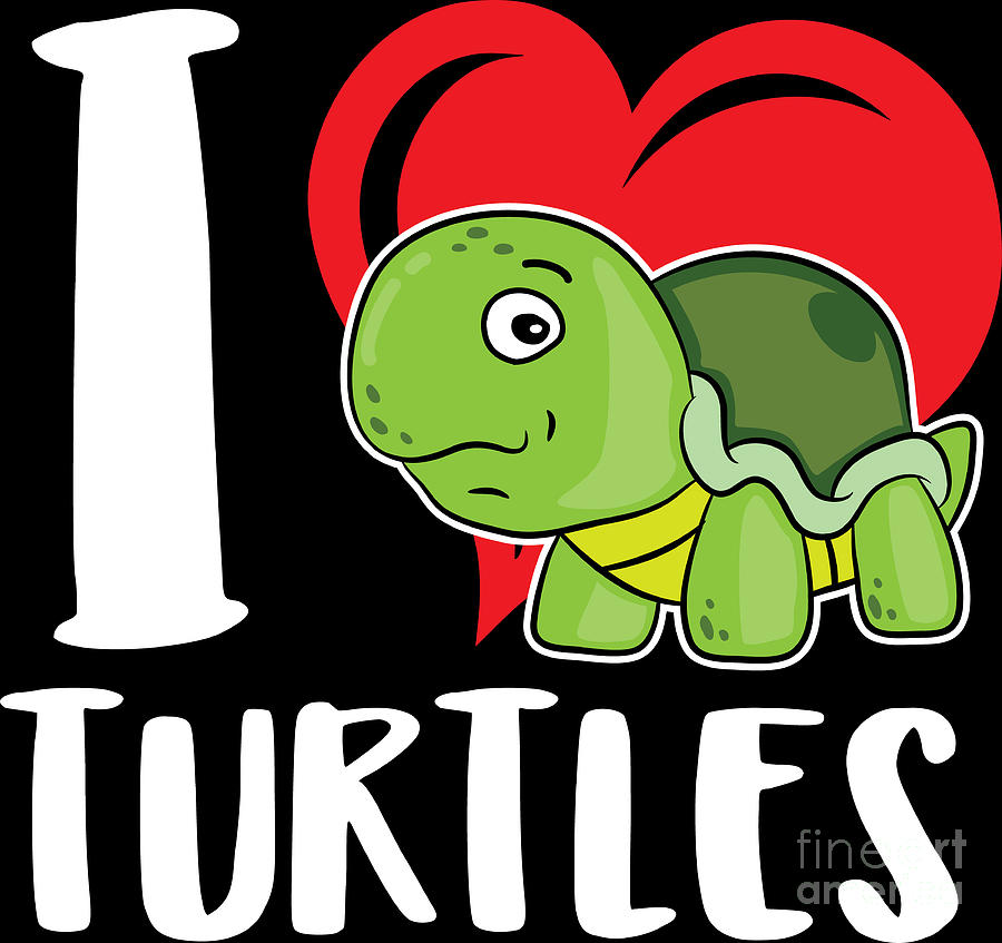 Turtle Lover Pet Lover I Love Turtles Birthday T Idea Digital Art By