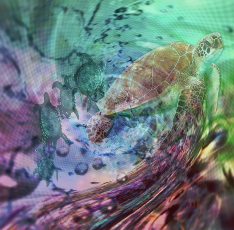 Turtle Lovers Mixed Media