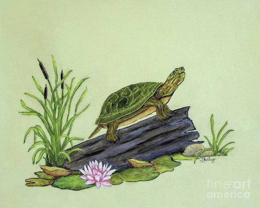 Turtle on a Log Painting by Shirley Dutchkowski