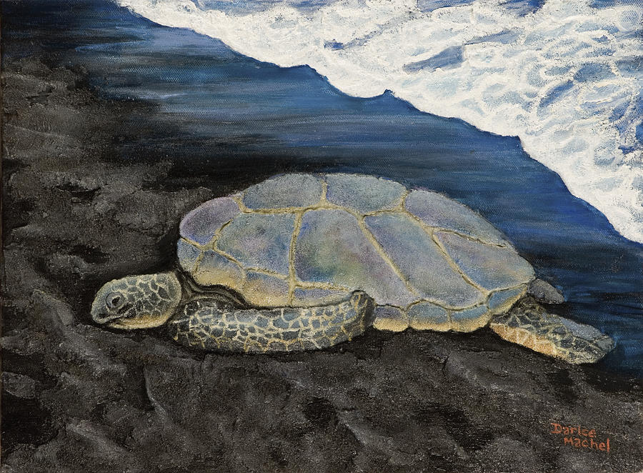 Turtle on Black Sand Painting by Darice Machel McGuire