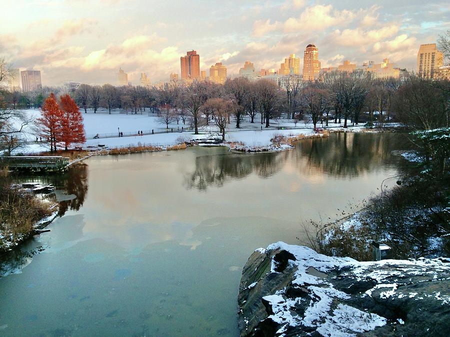 Turtle Pond at Sunset, NYC Photograph by Judy Frisk