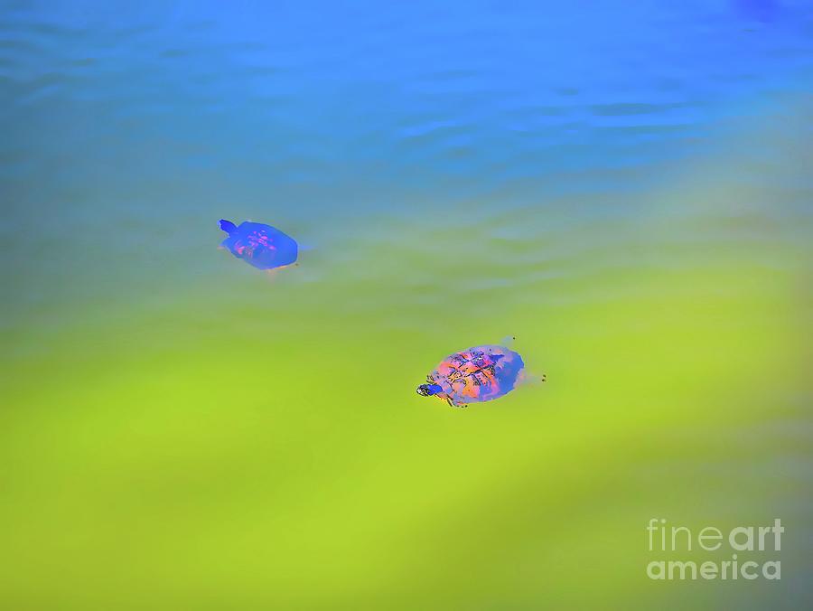 Turtle Pond Digital Painting Photograph by Leonidas Bratini - Fine Art