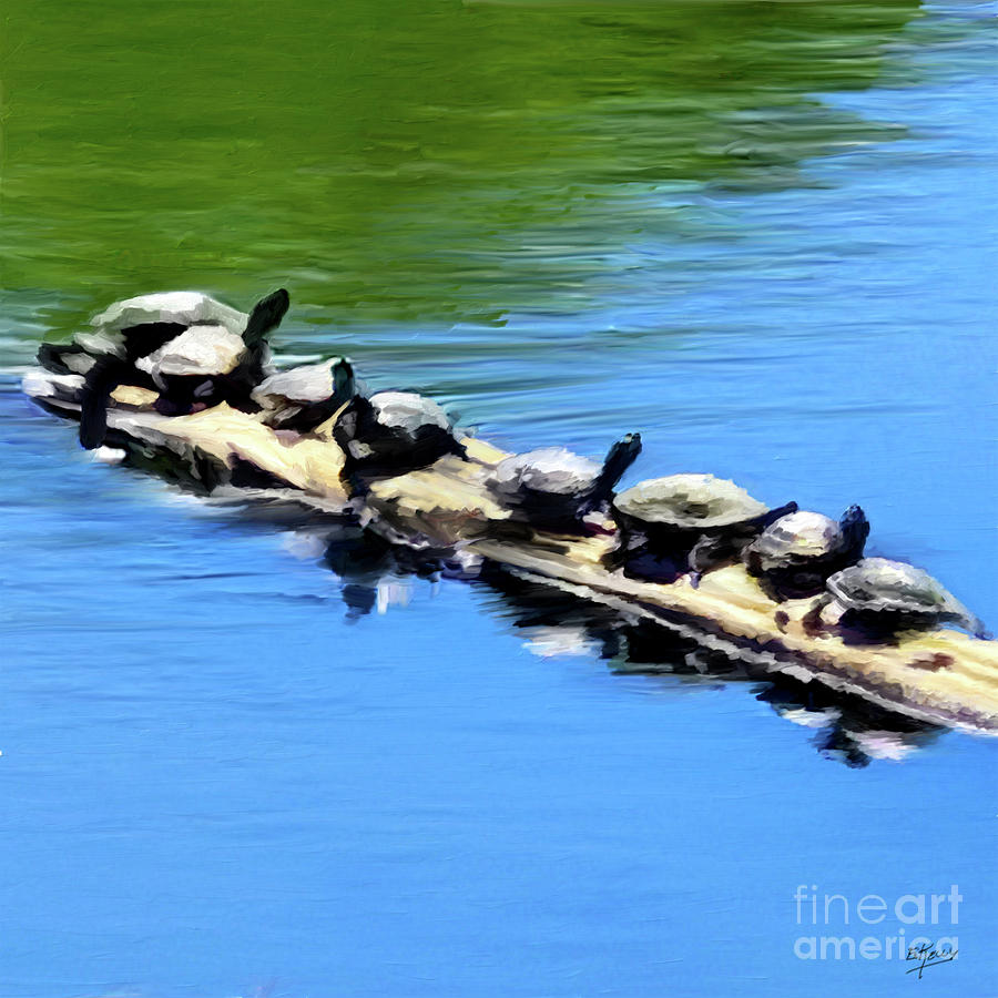 Turtle Reflections Painting by Eileen Kelly
