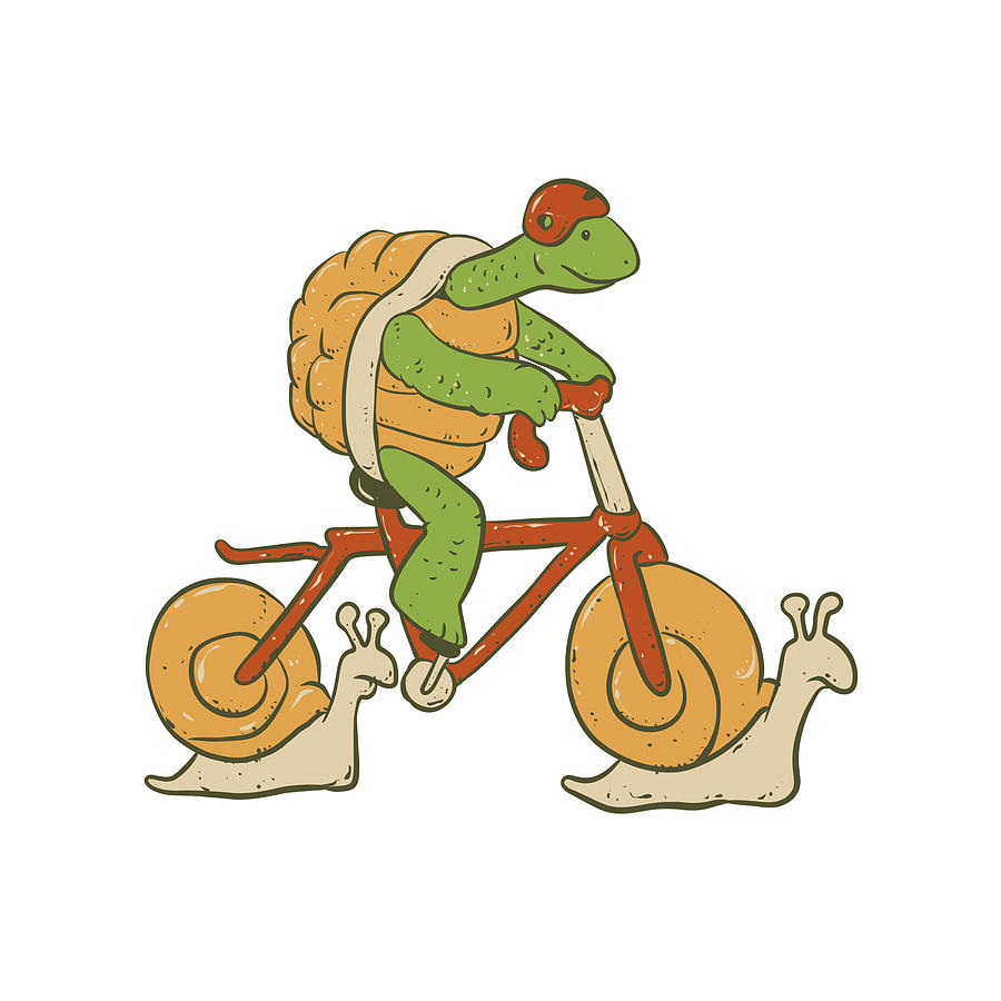 Turtle Riding Bicycle Drawing by Johnnie Art - Fine Art America