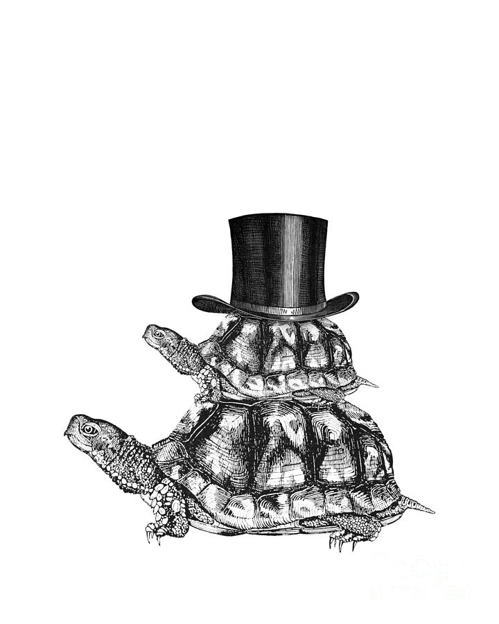 Turtle Digital Art - Turtle Stack by Madame Memento
