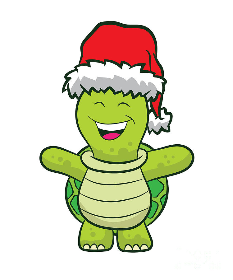 turtle christmas hat