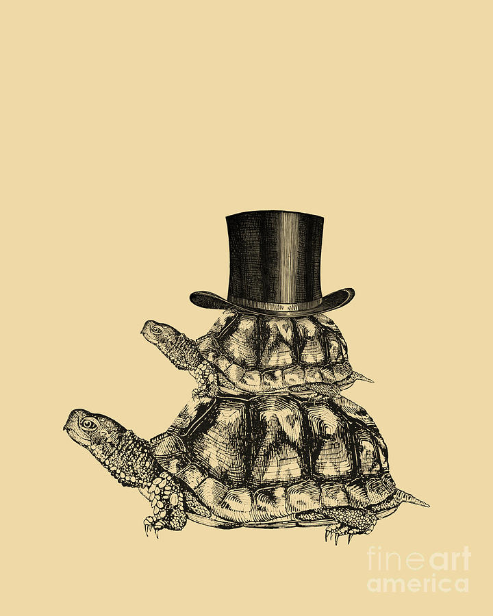 Turtle Digital Art - Turtles With Top Hat by Madame Memento