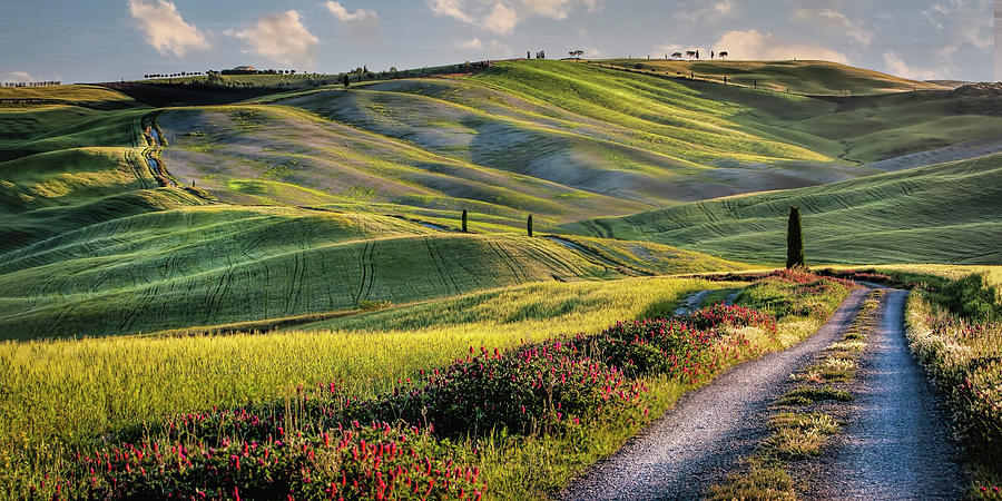 Tuscan Country Road Print Photograph by Harriet Feagin Photography ...