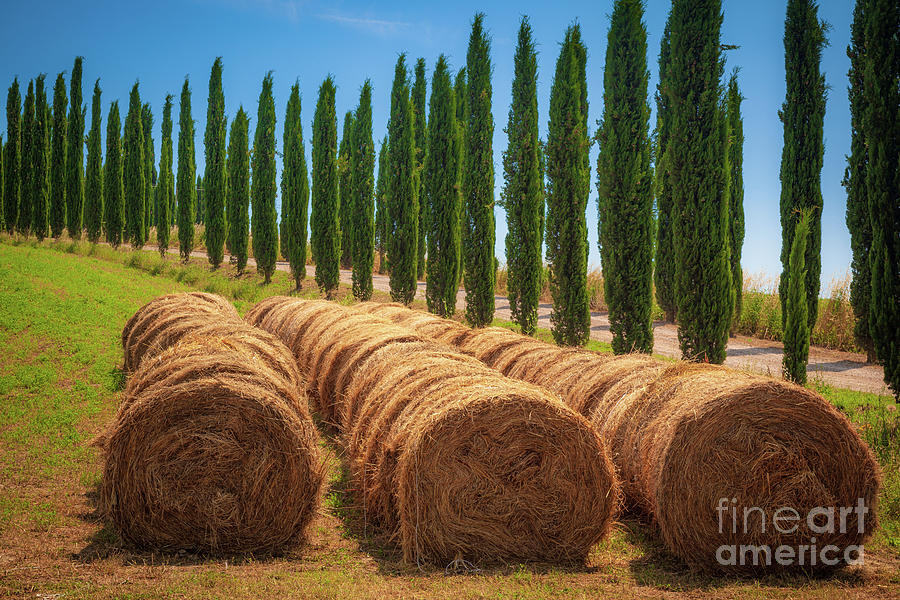 Landscape Photograph - Tuscan Hay by Inge Johnsson