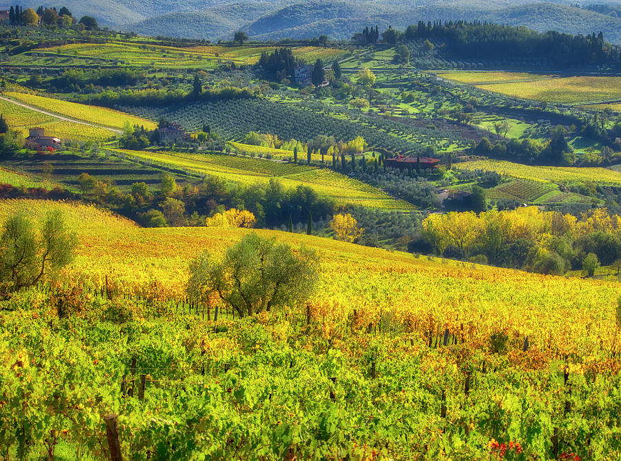 Tuscan Landscape 2 Photograph by Eggers Photography