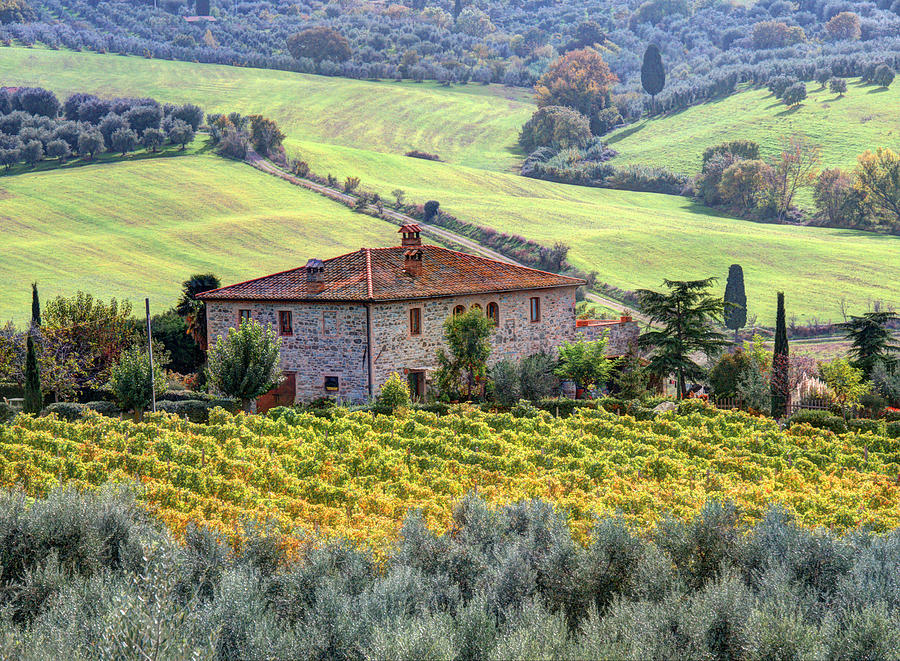 Tuscan landscape Photograph by Eggers Photography