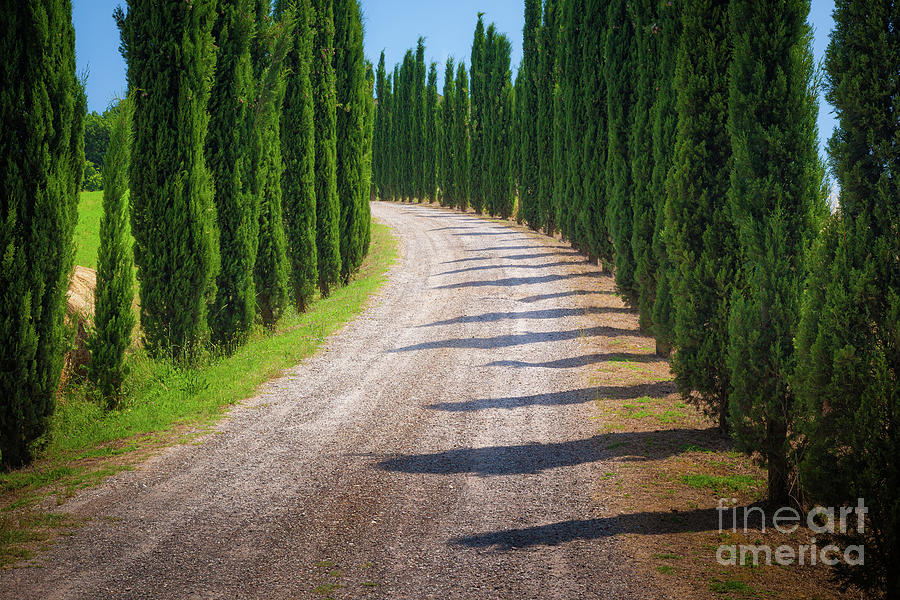 Landscape Photograph - Tuscan Road by Inge Johnsson