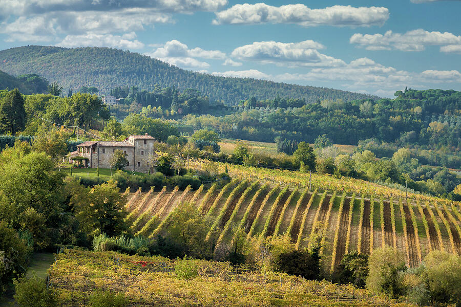 Tuscan Valley Photograph by Dave Bowman