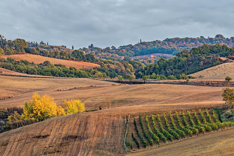 Tuscan View Photograph by Lindley Johnson