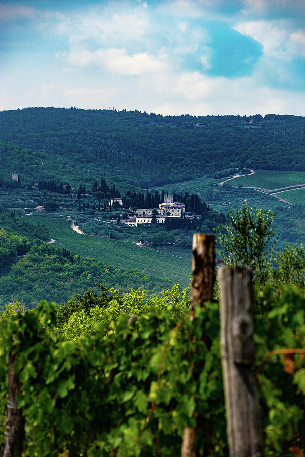 Tuscan Vineyard Photograph by Marian Tagliarino