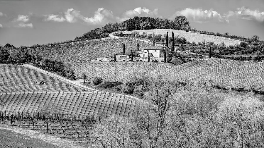 Tuscan Vineyard View, Black and White Photograph by Marcy Wielfaert