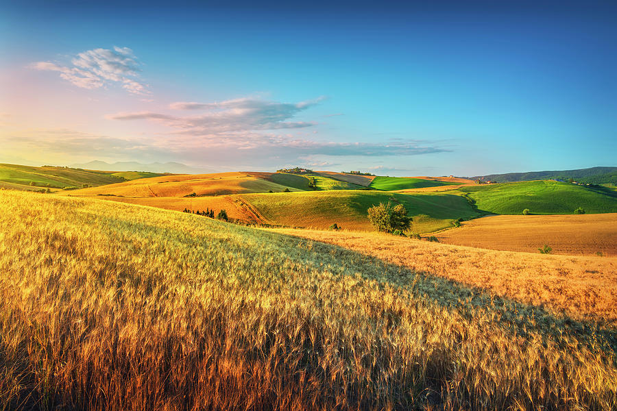 Tuscany countryside panorama, rolling hills and wheat fields at  Photograph by Stefano Orazzini