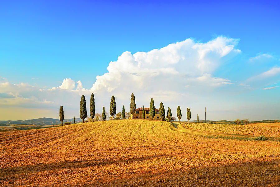 Tuscany, farmland, cypress trees and white road. Siena, Val d Or Photograph by Stefano Orazzini