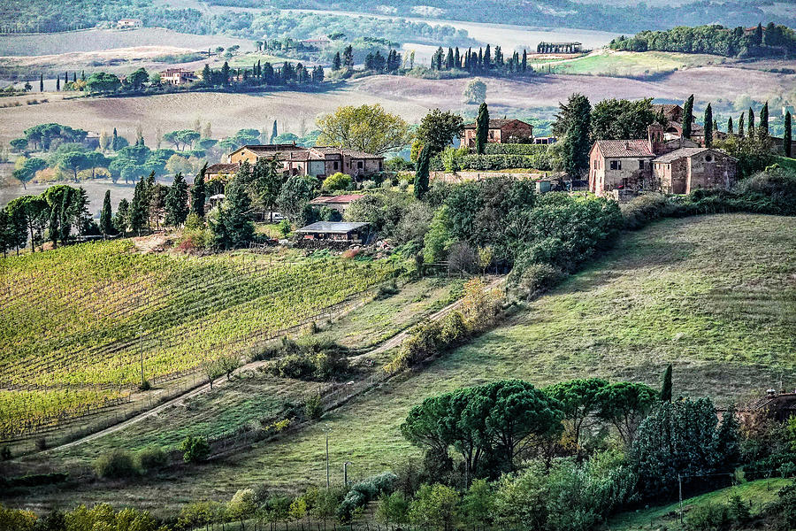 Tuscany Farmland Photograph by Makiko Ishihara