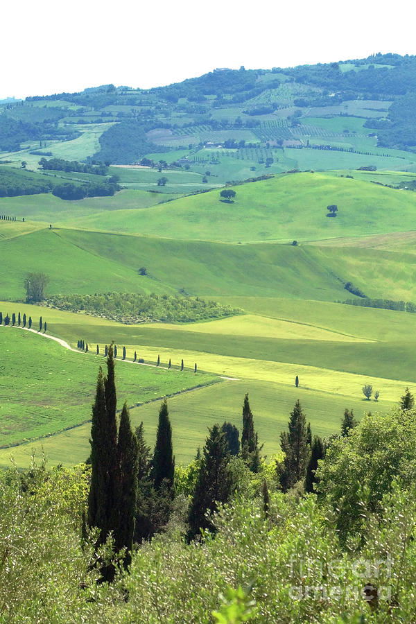 Tuscany hills 2 Photograph by Rudi Prott